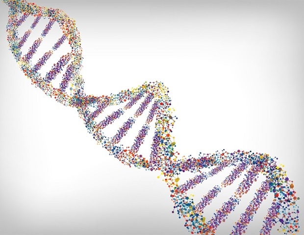 Breakthrough research reveals how to target malignant DNA in aggressive cancers